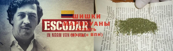 гашик Вяземский
