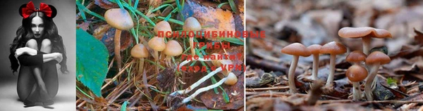 кокаин премиум Вязники