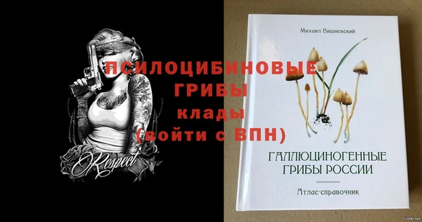 гашик Вяземский