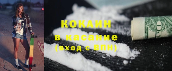 гашик Вяземский