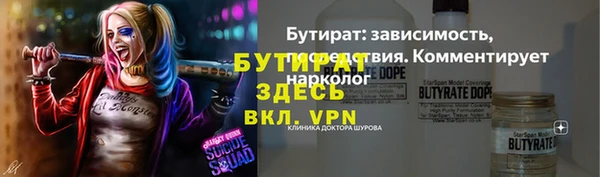 гашик Вяземский
