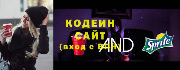 гашик Вяземский