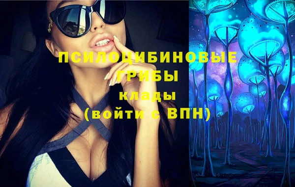 дмт Вязьма