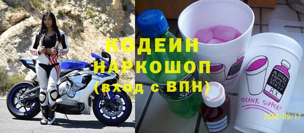 гашик Вяземский