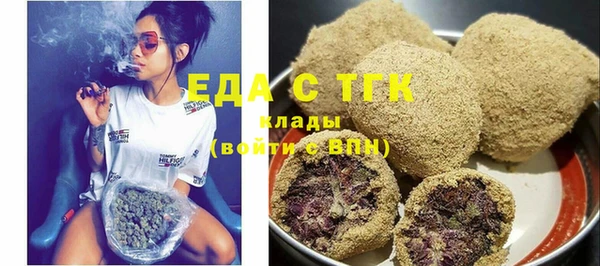 гашик Вяземский