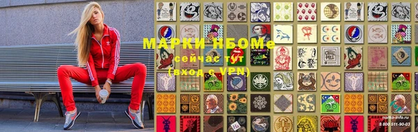 гашик Вяземский