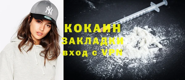 гашик Вяземский