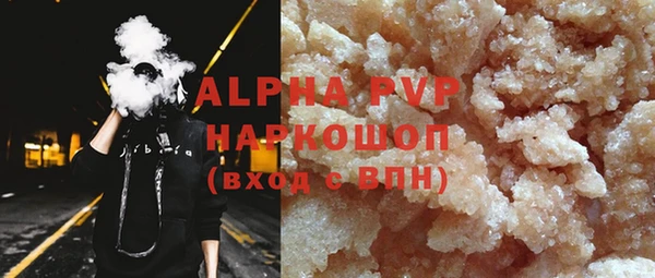 гашик Вяземский