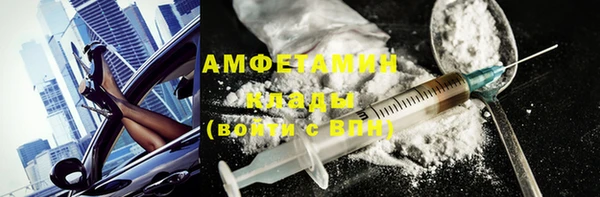 гашик Вяземский