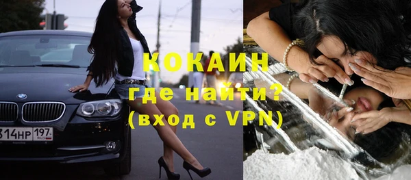 гашик Вяземский